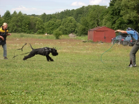 Training in Estonia 6/2007